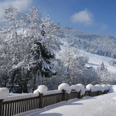 Loft Alpbach