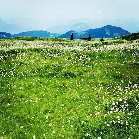 Loft Lägenhet Alpbach