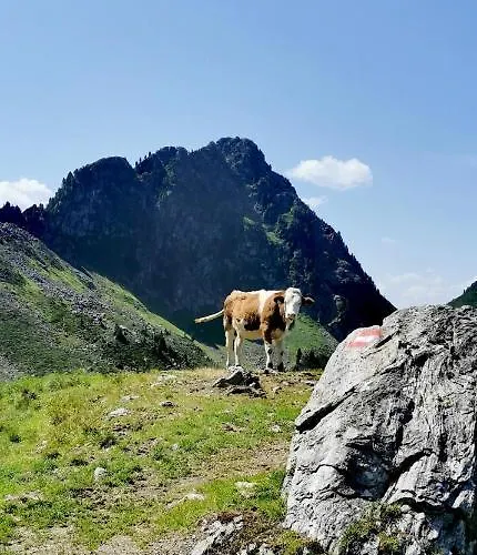 公寓 Loft 阿尔卑巴赫