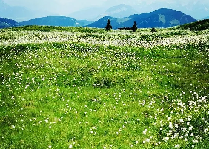 Loft 公寓 阿尔卑巴赫