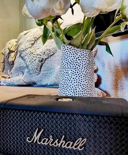 Loft 公寓 阿尔卑巴赫